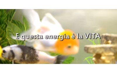 Il gioco delle emozioni