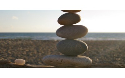 Applicare lo Zen per sè e per il sistema in cui si vive Applicare lo Zen per sè e per il sistema in cui si vive