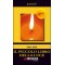 Il piccolo libro della luce ( Libro Digitale )
